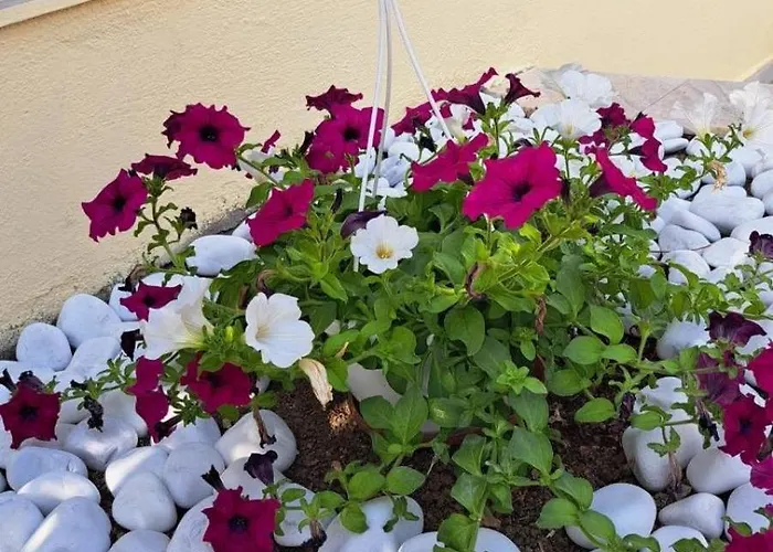 Apartment Captain's House